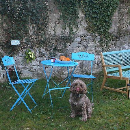 The Luxury Dartmoor Den, Dartmoor, Devon Ashburton Exterior foto