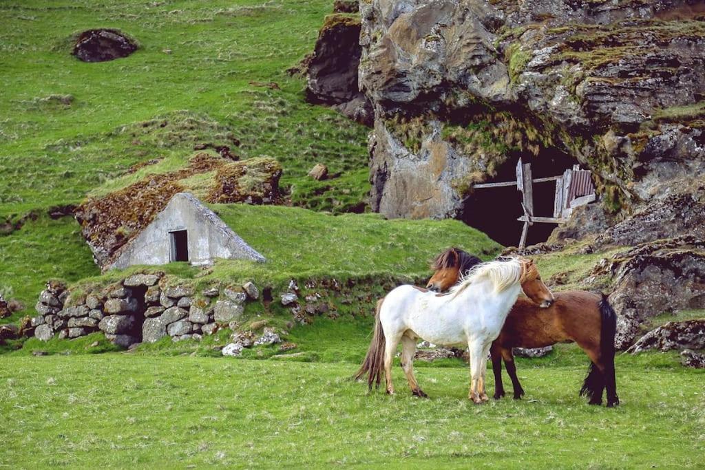 The Luxury Dartmoor Den, Dartmoor, Devon Ashburton Exterior foto